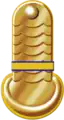 Uhlan epaulet (1872), 4th Kharkov Uhlan Regiment