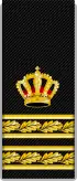 Swedish Police