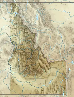 Perrine Bridge is located in Idaho