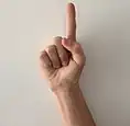 Chinese Sign Language sign for the number one