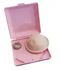 a diaphragm