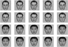 grid with 20 faces, center column shows the original face (first two faces in column are white, last two faces are Asian) without editing. The leftmost face has the distance between eyes or between nose and mouth 10 pixels smaller than the original (the middle face), the face located second from the left has the distance between eyes or between nose and mouth 5 pixels smaller than the original, the rightmost face has the distance between eyes or between nose and mouth 10 pixels larger than the original, and the face located second from the right has the distance between eyes or between nose and mouth 5 pixels larger than the original.