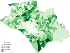 White-Irish