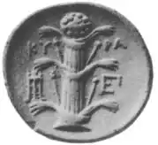 ancient coin depicting silphium