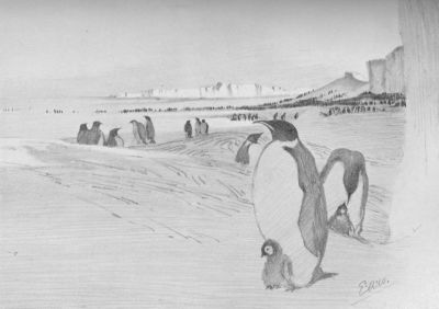 Emperors Barrier And Sea Ice&mdash;E. A. Wilson, del.