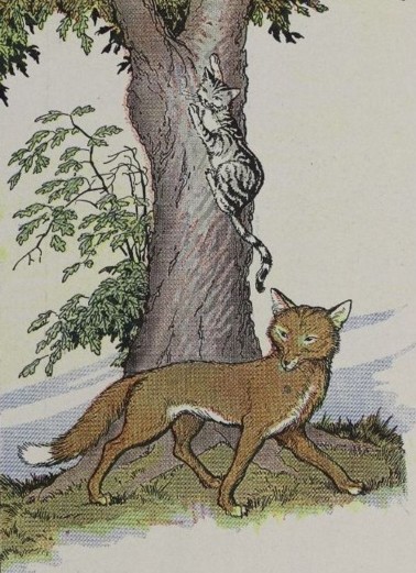 THE CAT AND THE FOX