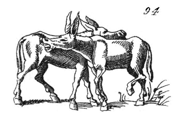 Asses Scratch One Another 210