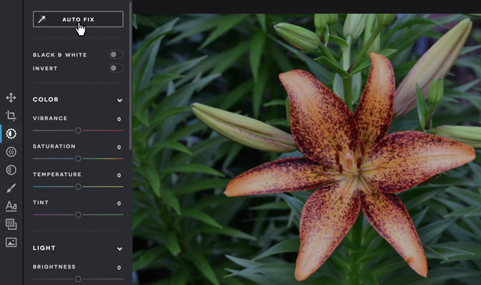 A screenshot of the Pixlr X interface. A screenshot of the Pixlr X interface.