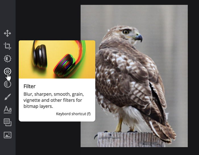 A screenshot of the Pixlr X interface. A screenshot of the Pixlr X interface.