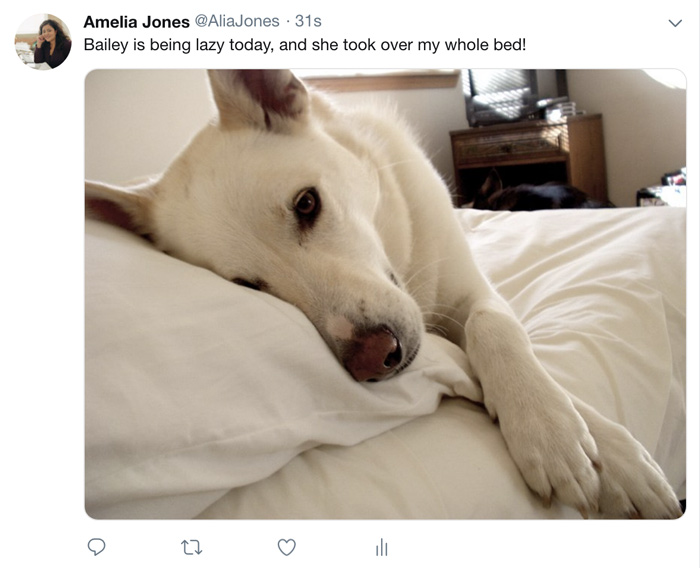 A screenshot of a Twitter post. A screenshot of a Twitter post.