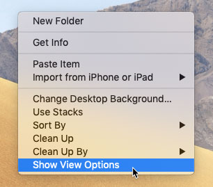 screenshot of selecting Show View Options after right-clicking on the desktop screenshot of selecting Show View Options after right-clicking on the desktop