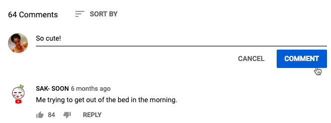 screenshot of posting a comment on YouTube screenshot of posting a comment on YouTube