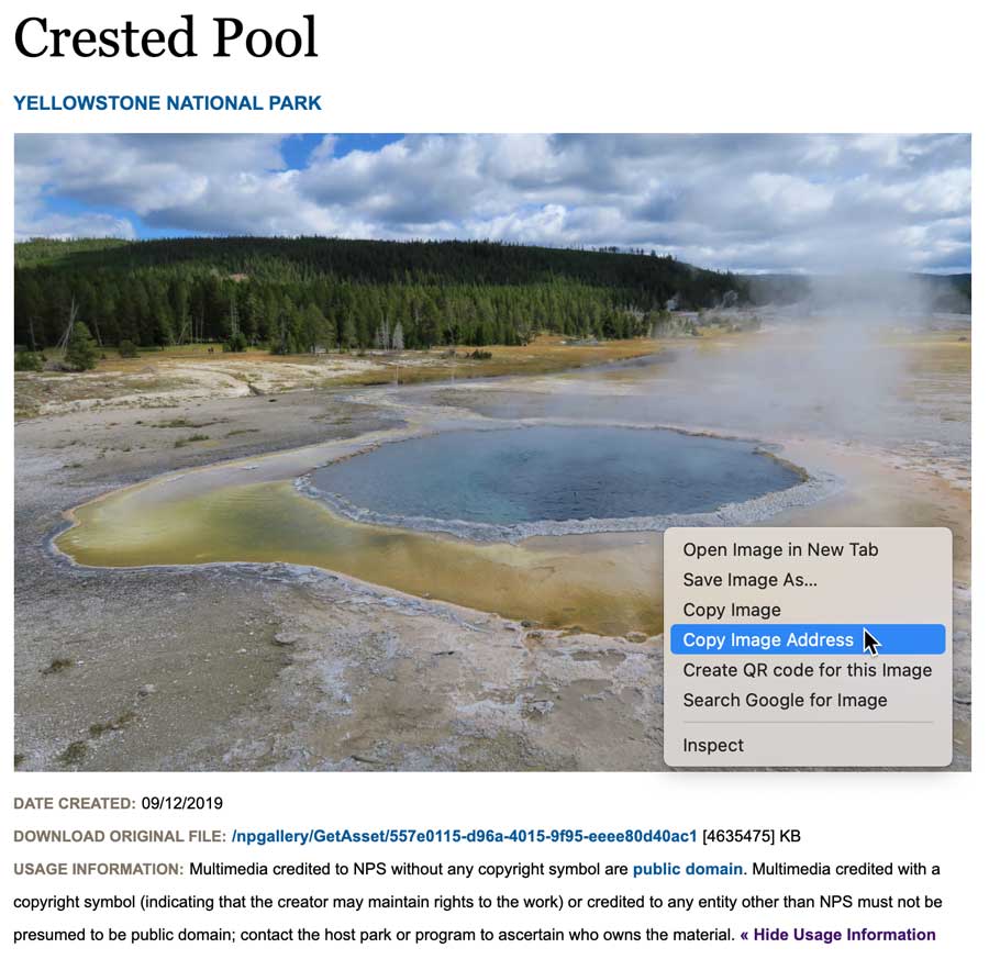 Copy Image Address Copy Image Address