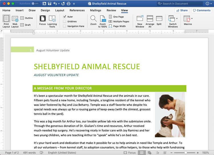 screenshot of Microsoft Word in macOS screenshot of Microsoft Word in macOS