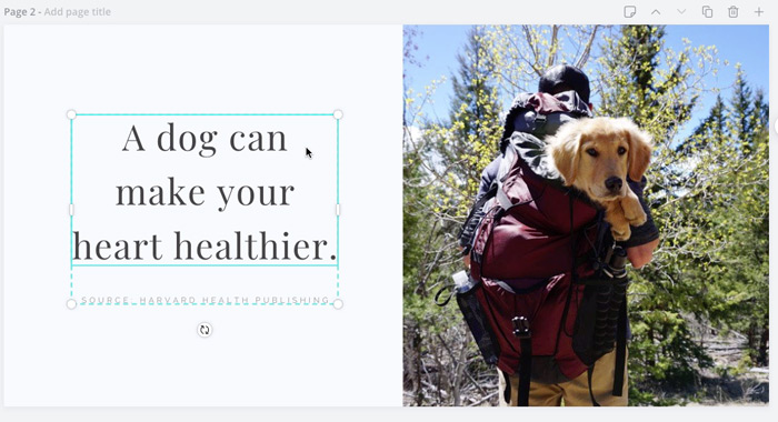 screenshot of dog in backpack quote post screenshot of dog in backpack quote post