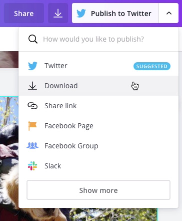 screenshot of publishing options screenshot of publishing options