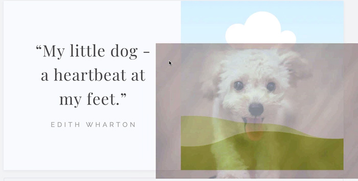 screenshot of dog photo being dragged onto grid screenshot of dog photo being dragged onto grid