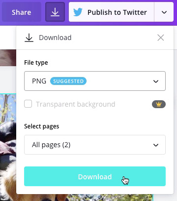 screenshot of "PNG" file type and "Download" button screenshot of "PNG" file type and "Download" button