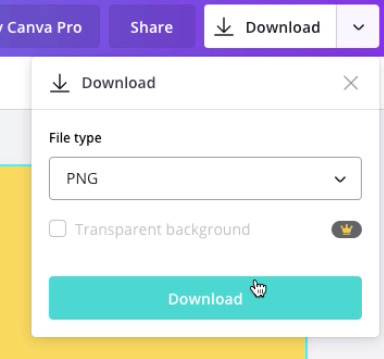 screenshot of "PNG" file type and "Download" button screenshot of "PNG" file type and "Download" button