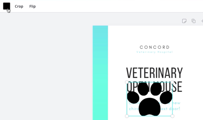 screenshot of paw before changing color and size screenshot of paw before changing color and size