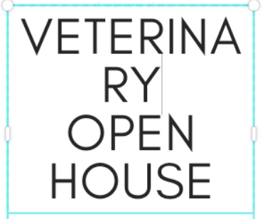 screenshot of title before changing font screenshot of title before changing font