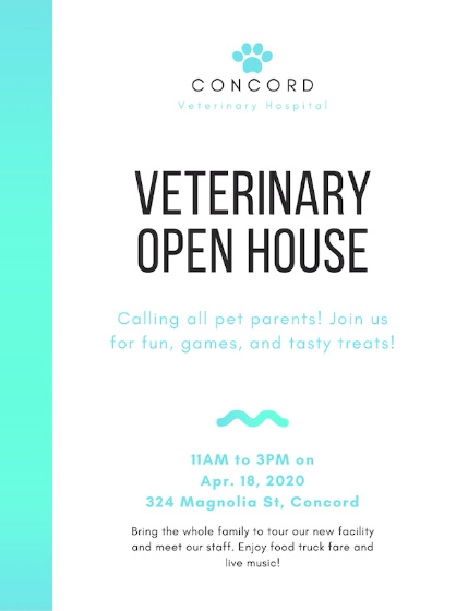 screenshot of final flyer design screenshot of final flyer design