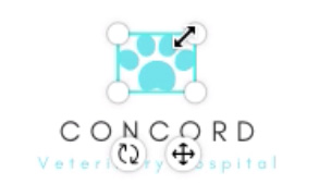 screenshot of graphic being resized screenshot of graphic being resized