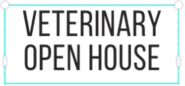 screenshot of title after changing font screenshot of title after changing font