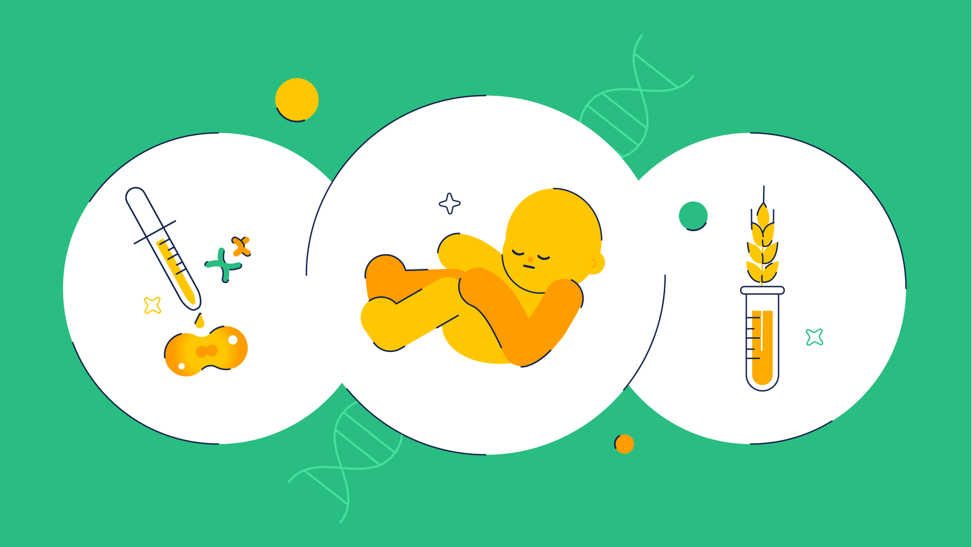 Illustrations of a cell division experiment, an unborn child, and modified crops. Illustrations of a cell division experiment, an unborn child, and modified crops.
