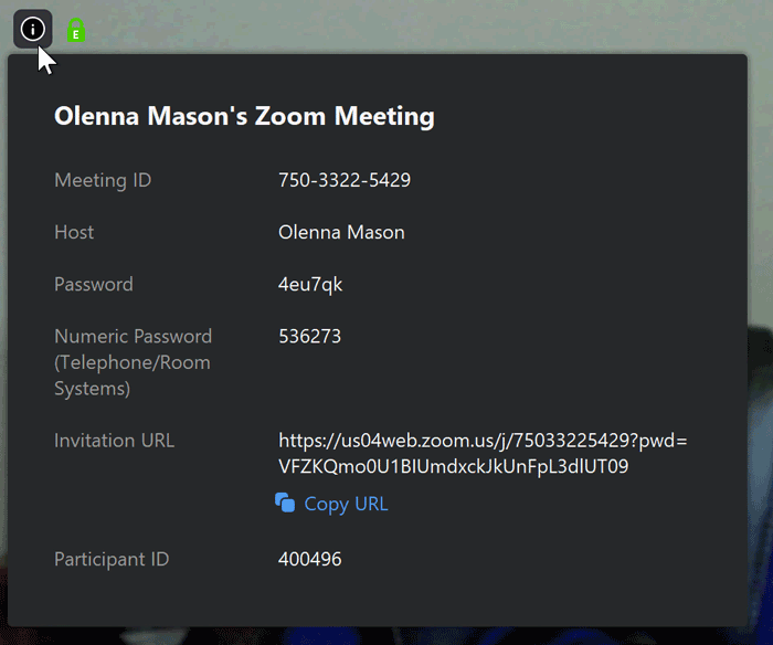 A screenshot of the meeting info box in the Zoom app. A screenshot of the meeting info box in the Zoom app.