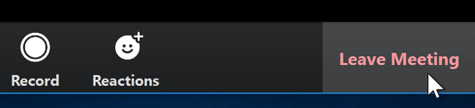 A screenshot of a mouse cursor hovering over the Leave Meeting button in the Zoom app. A screenshot of a mouse cursor hovering over the Leave Meeting button in the Zoom app.